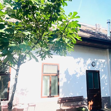 Jokai Apartman Révkomárom Kültér fotó