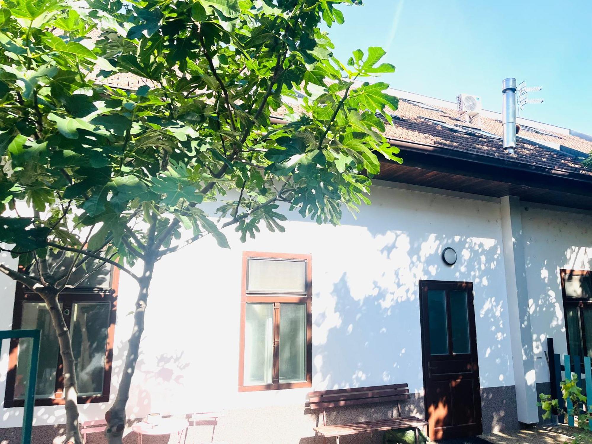 Jokai Apartman Révkomárom Kültér fotó